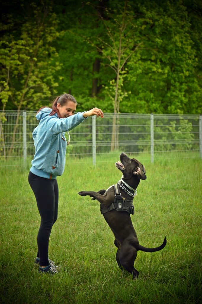 girl trains a dog in nature