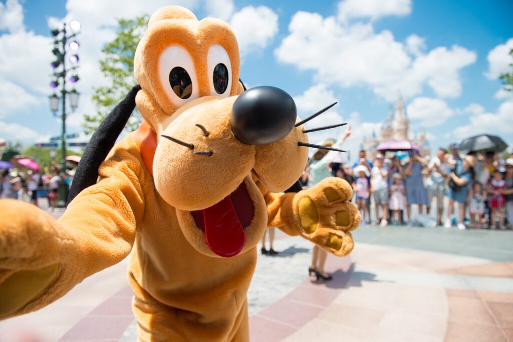 Pluto in disney land - disney animal